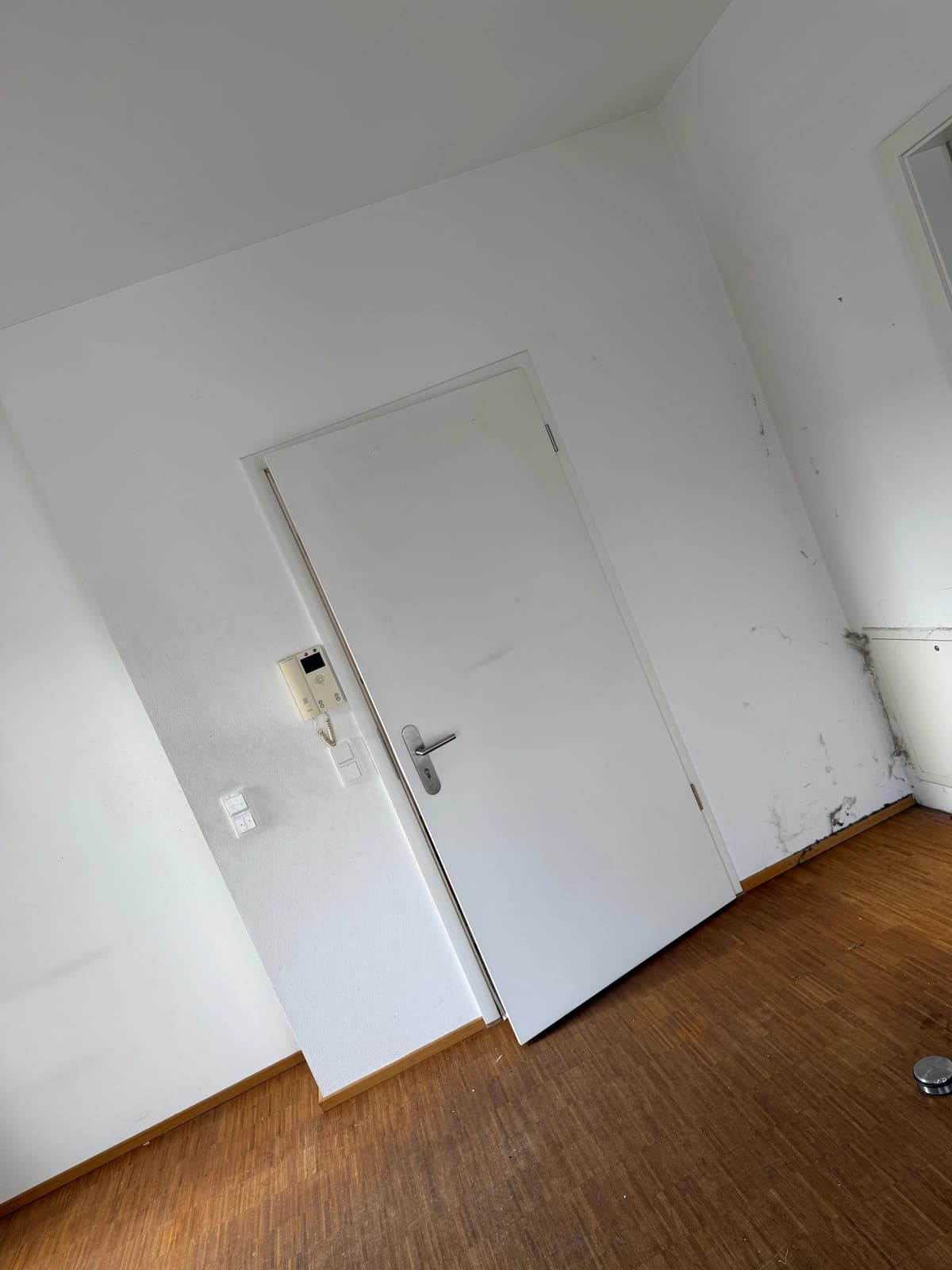 Schimmelsanierung